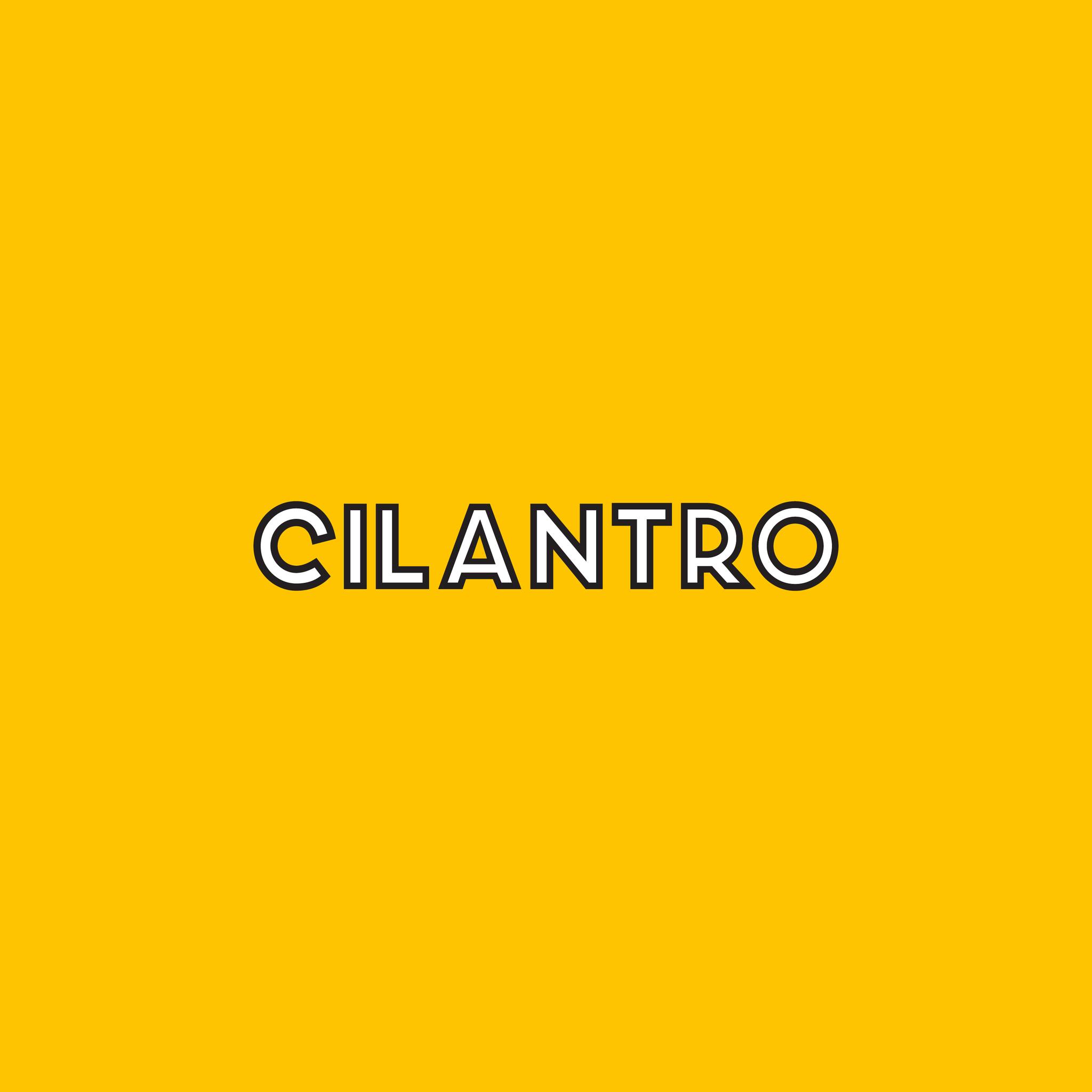 Cilantro Cafe