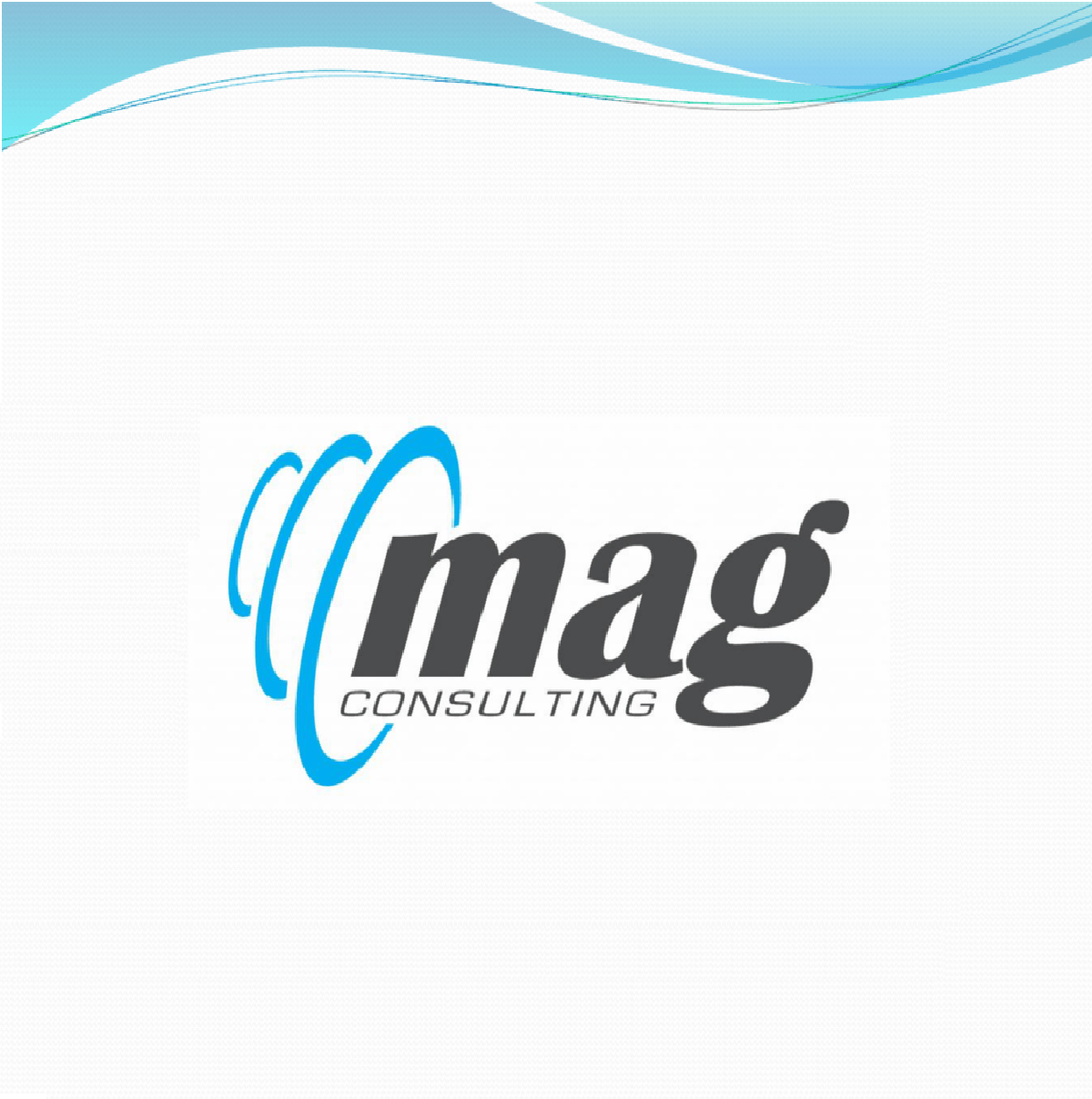 mag-consulting