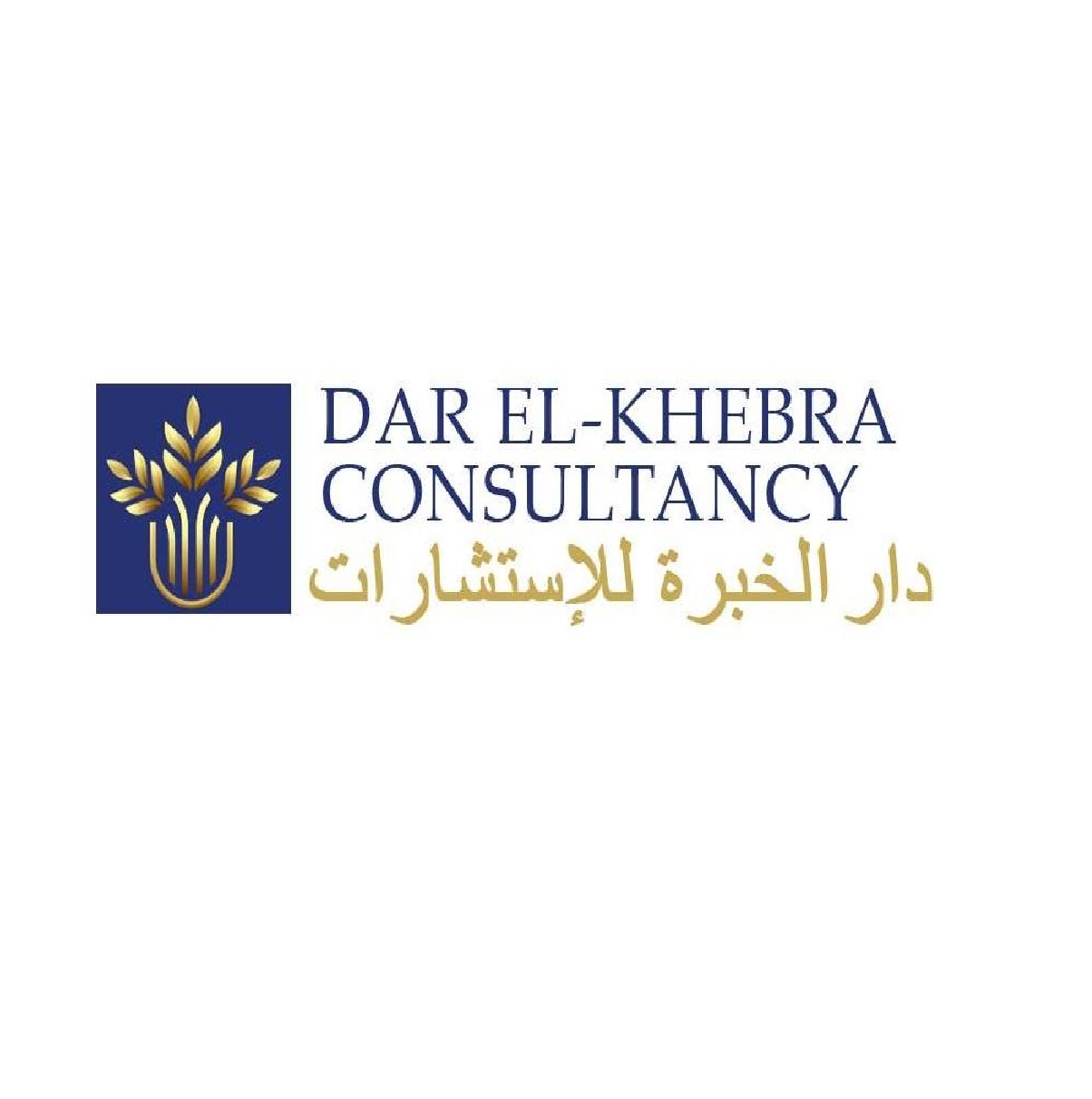 Dar el khebra