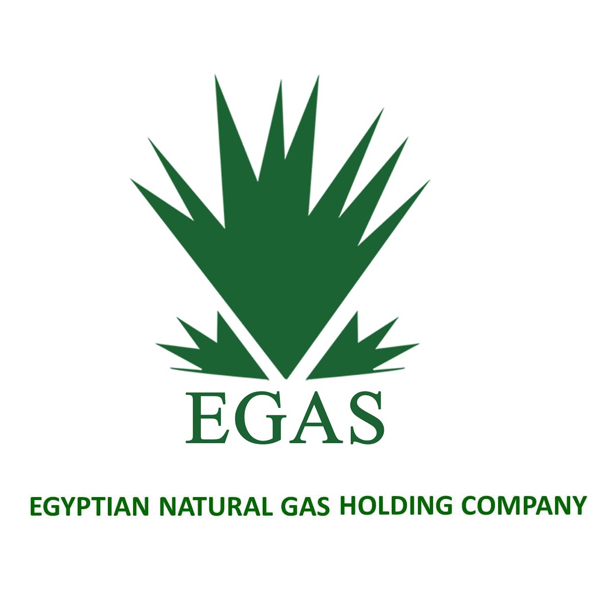 The Egyptian Natural Gas Field Operator