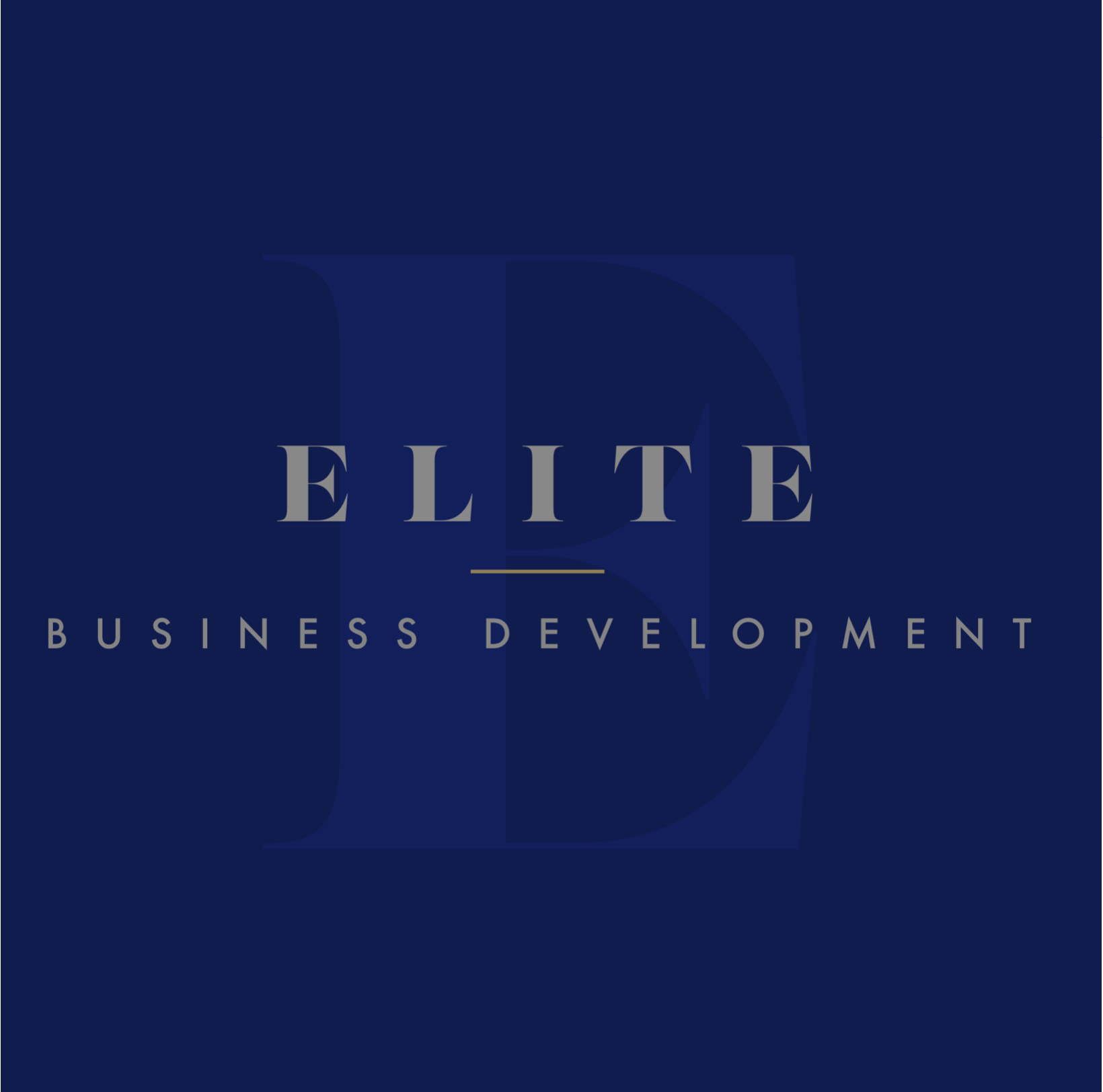 Elite business development Elite business development