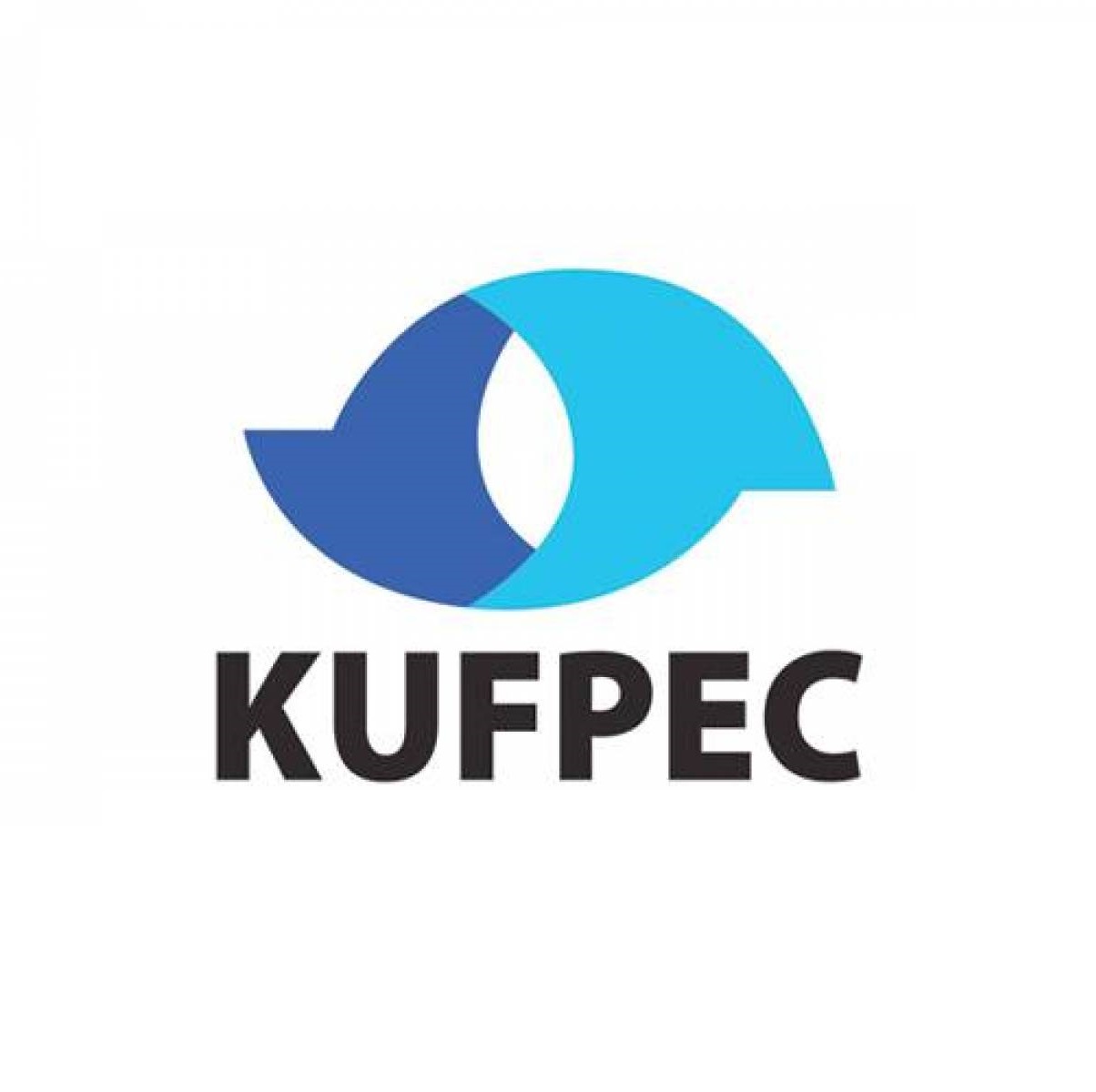KUFPEC (EGYPT) LIMITED