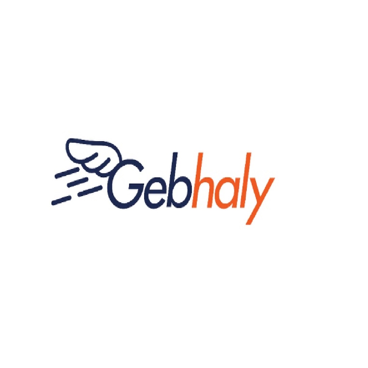 Gebhaly.com
