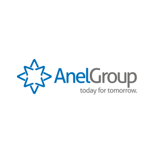 Anel Group