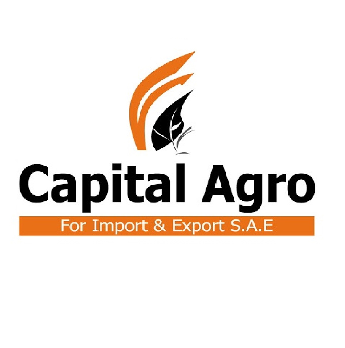 Capital Agro Company