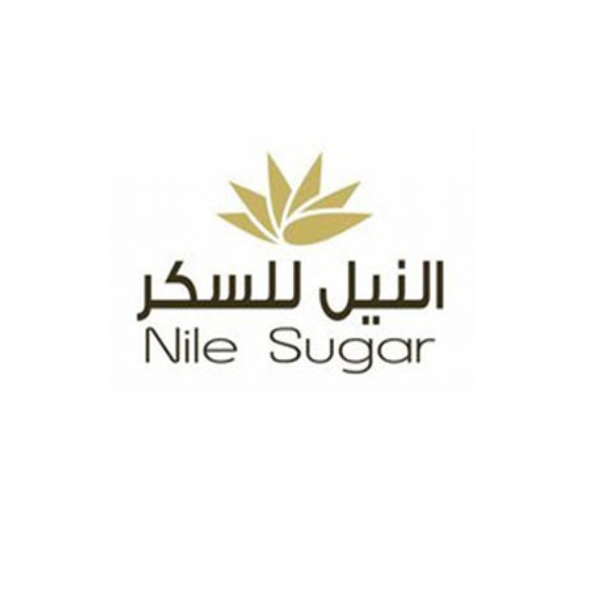 شركة النيل للسكر