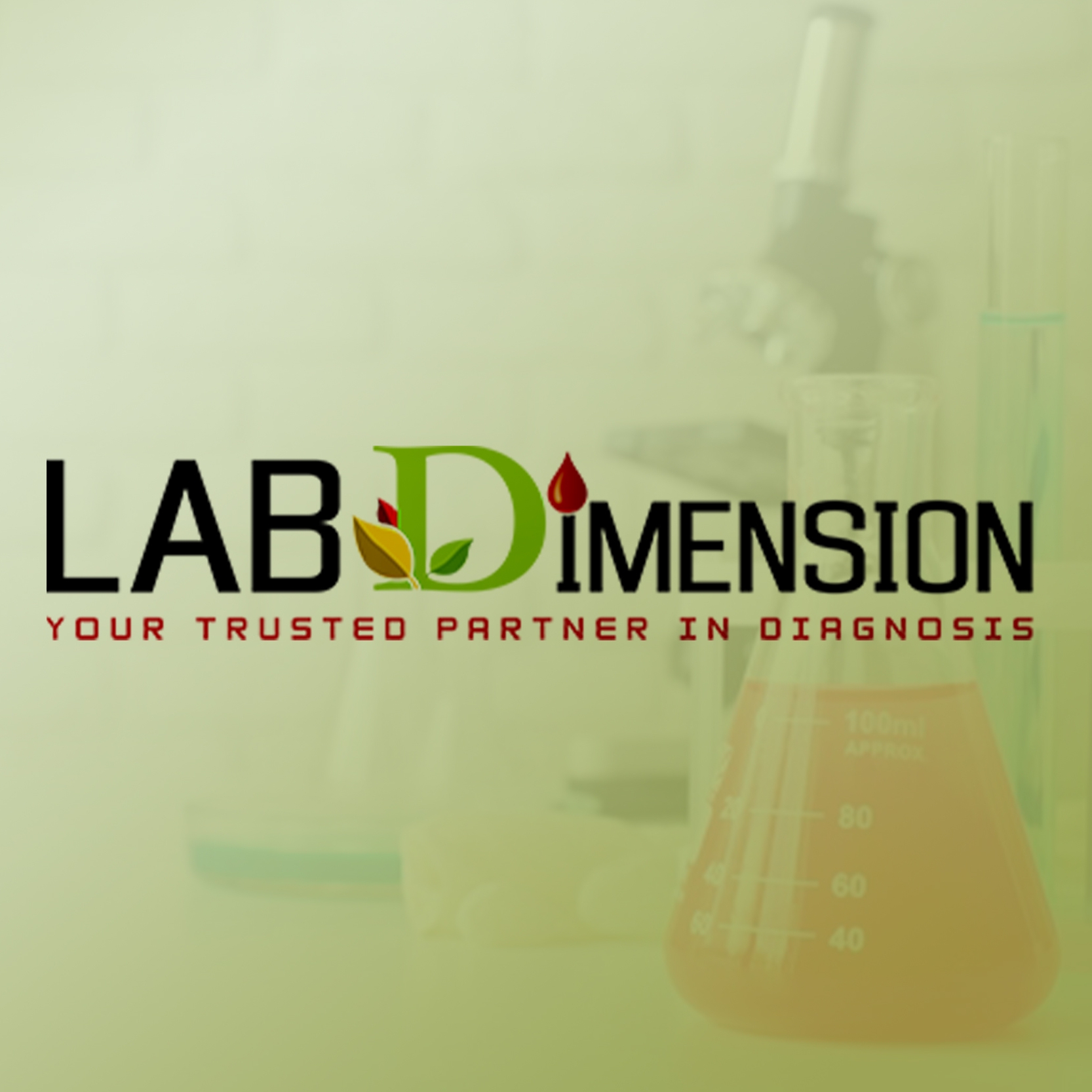 معامل  Lab Dimension