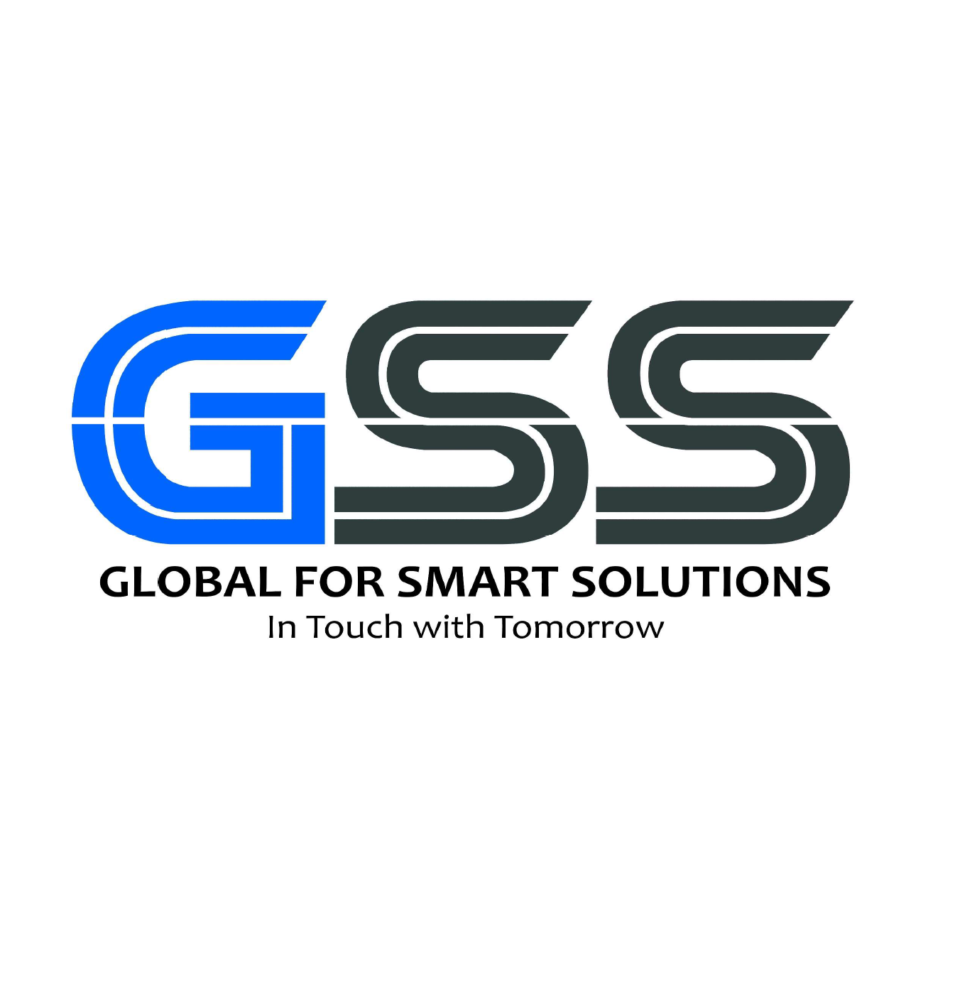 Gss Egypt