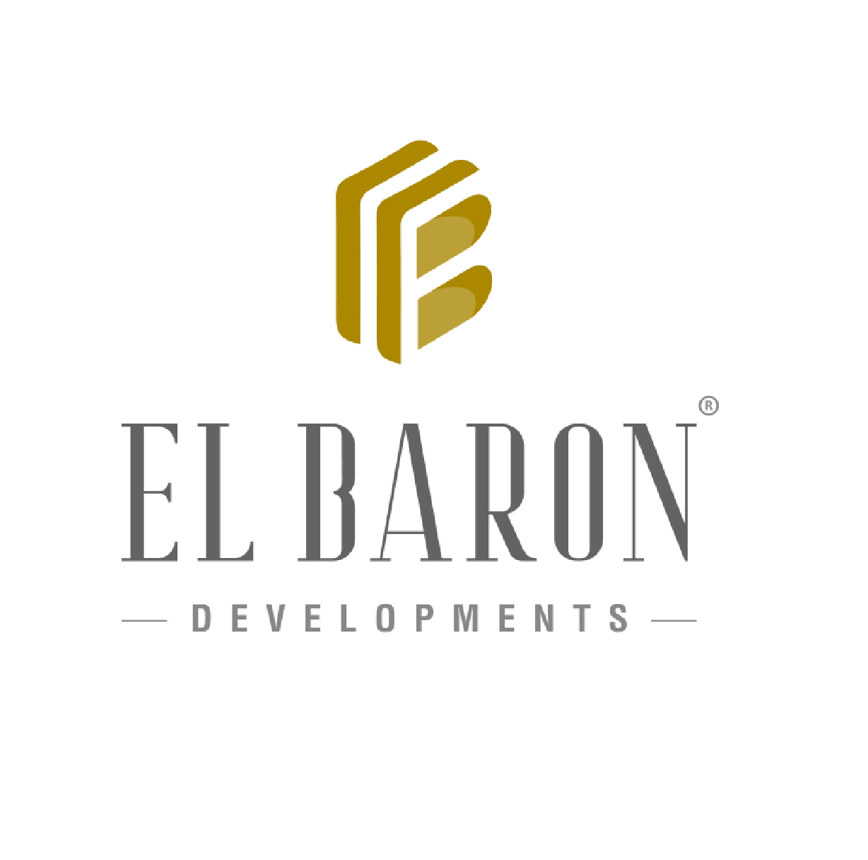 ElBaron Developments