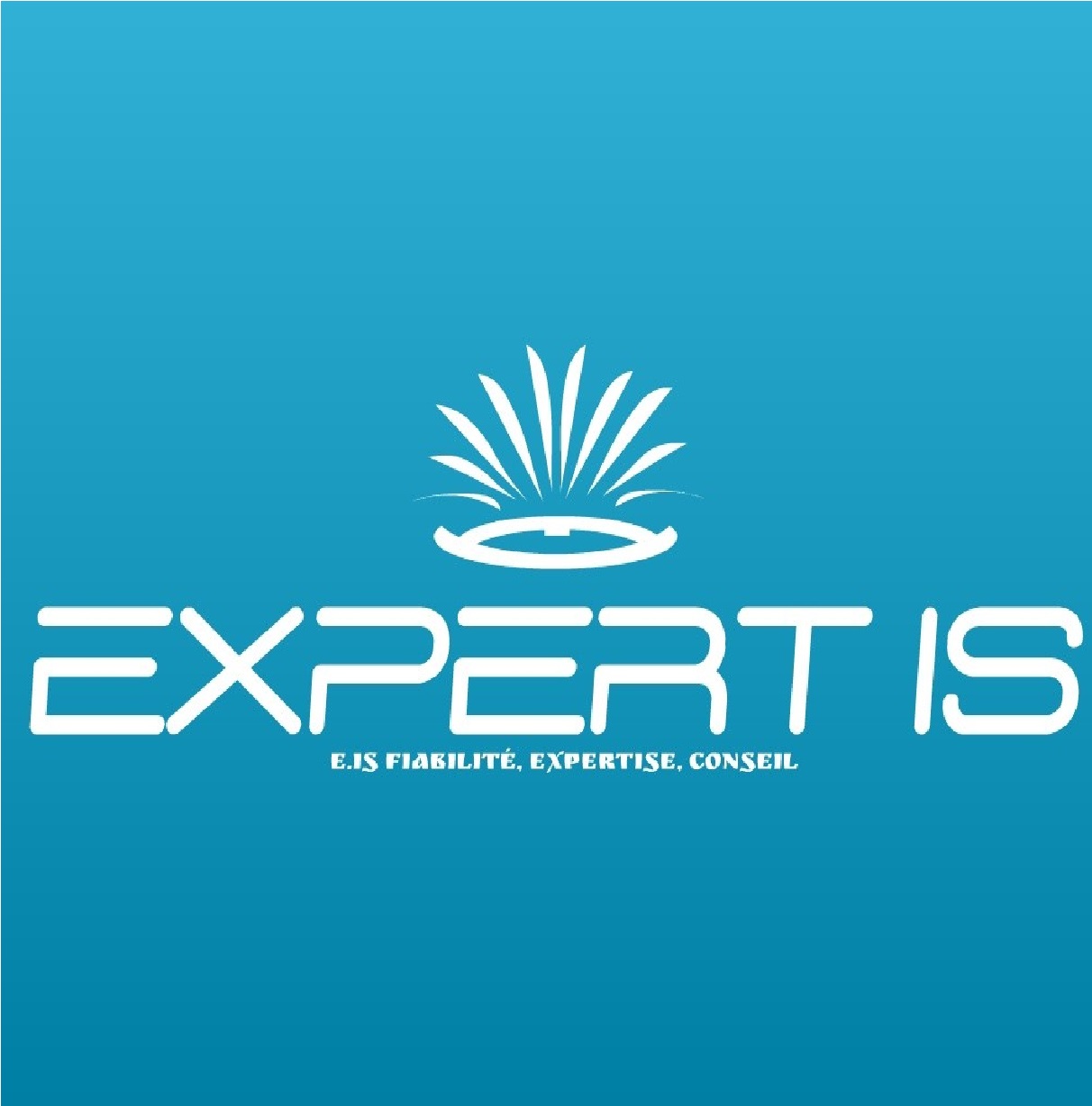 Jobs and opportunities at Expert is | Jobiano