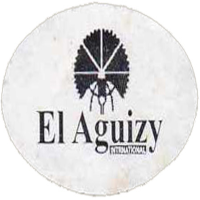 Elaguizy group