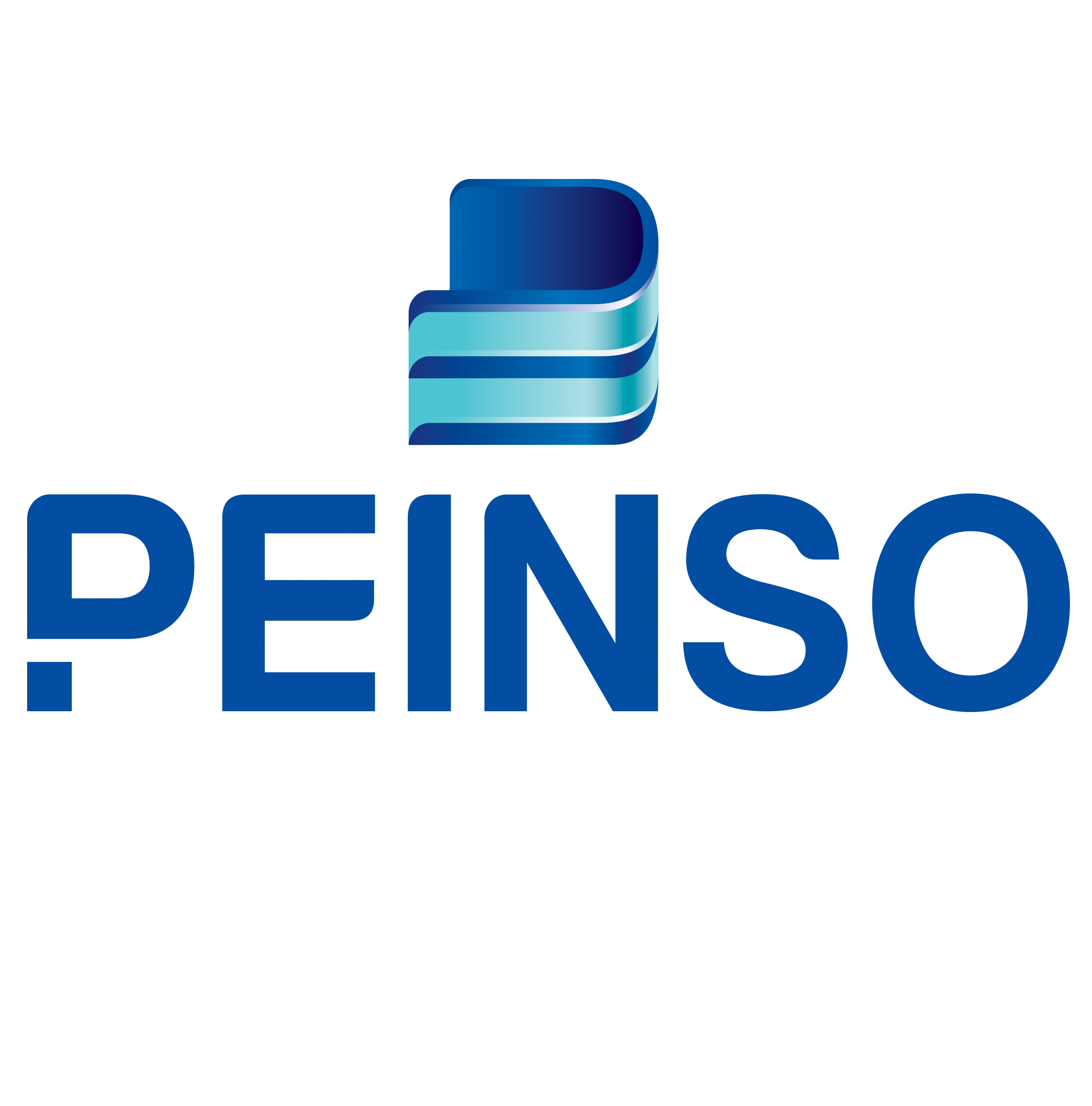 PEINSO Company