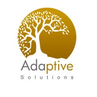 Adaptive Solutions
