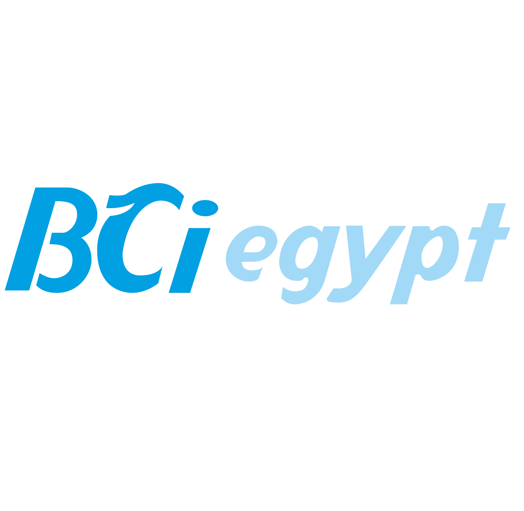 BCI Egypt