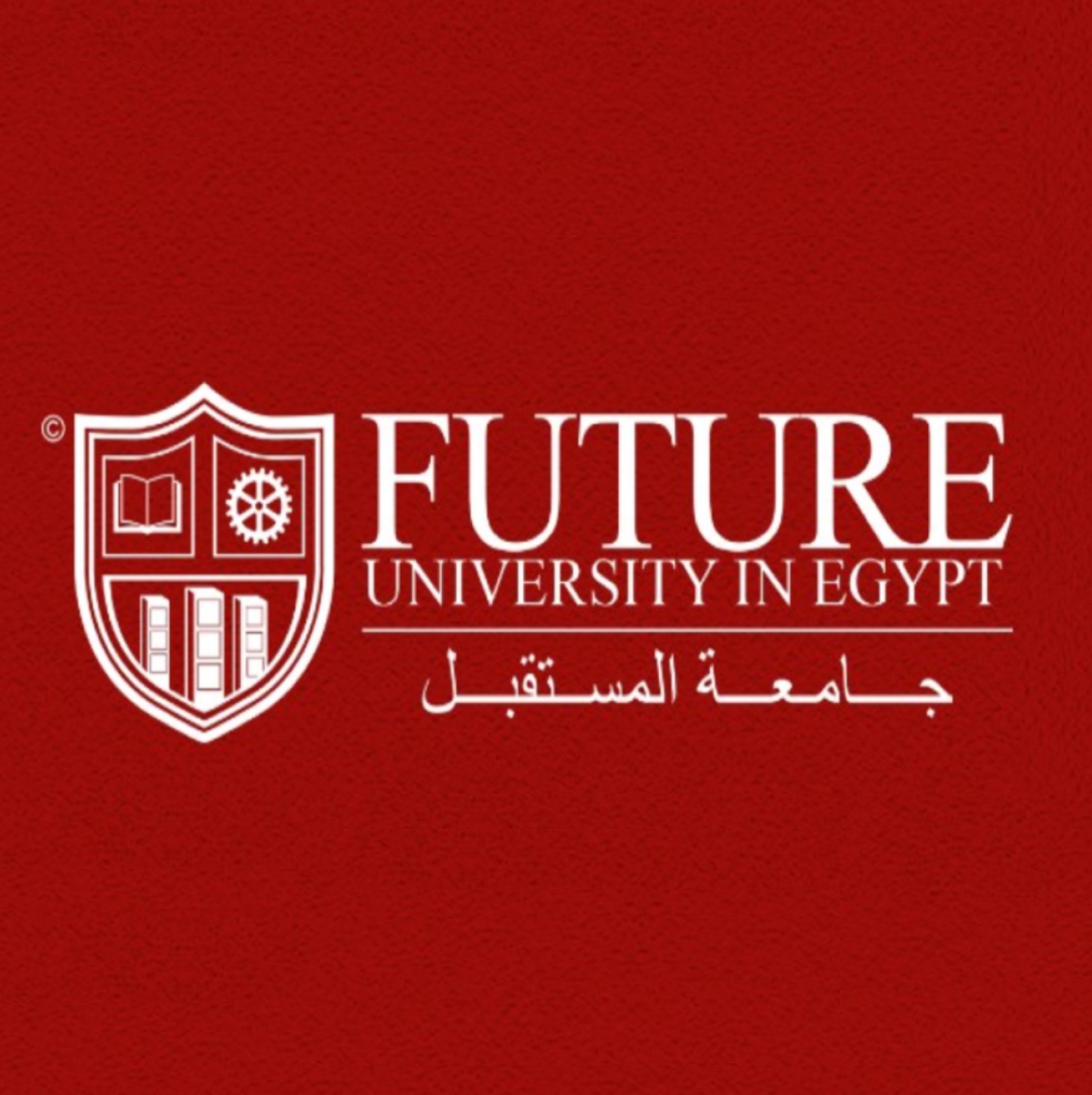 Future University in Egypt