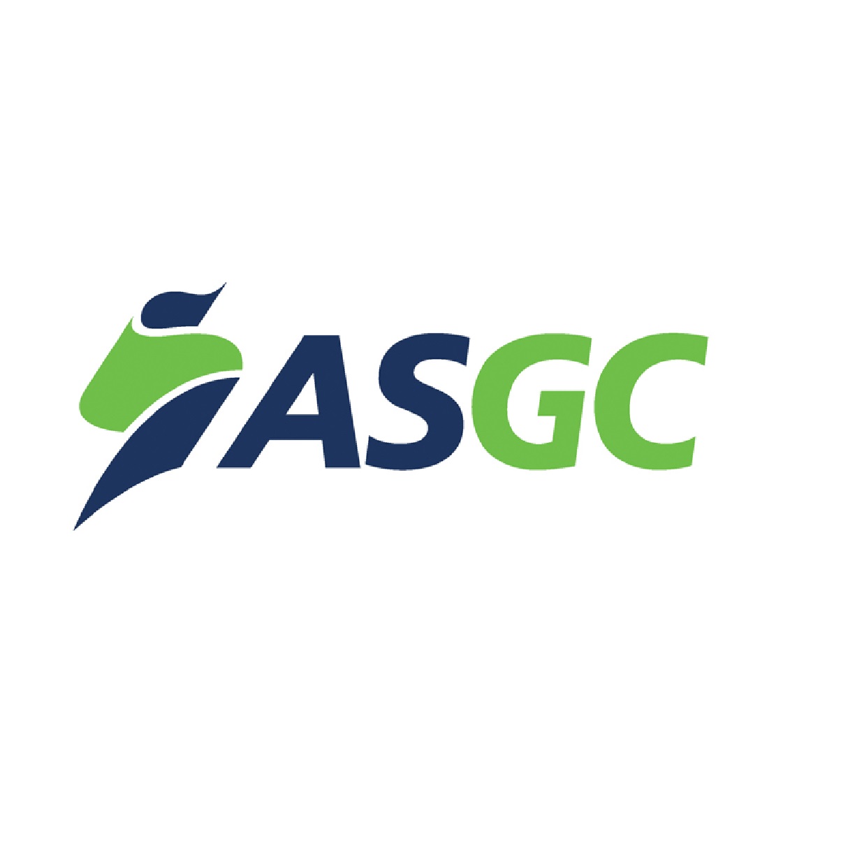 Asgc egypt Asgc egypt