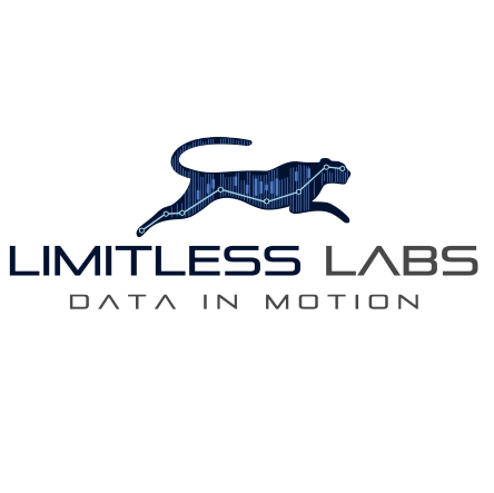 Limitless Labs Egypt
