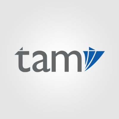 Tam International Financial Consulting