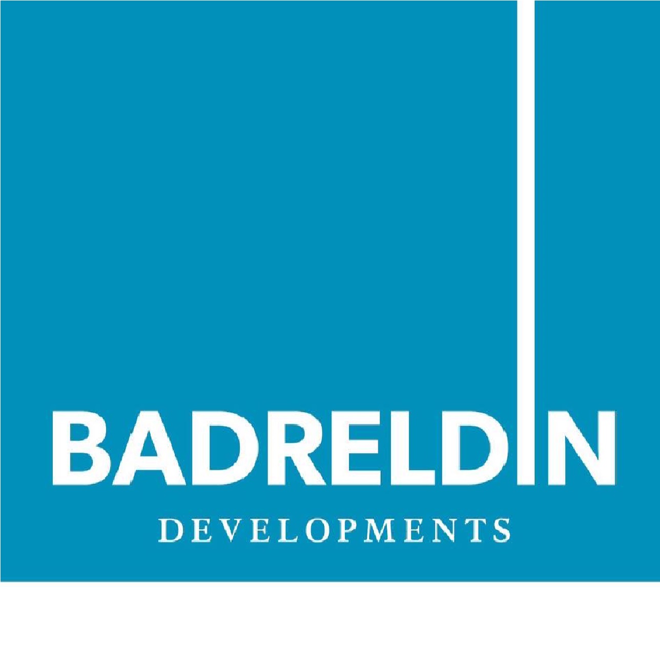 Badreldin Construction