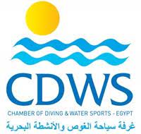 cdws travel