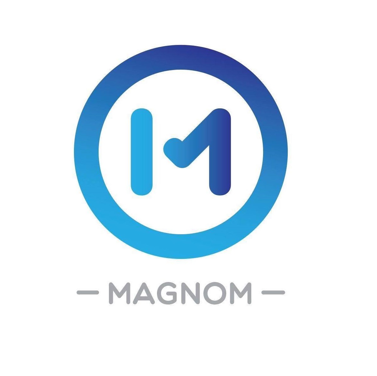 Magnom Holding Company