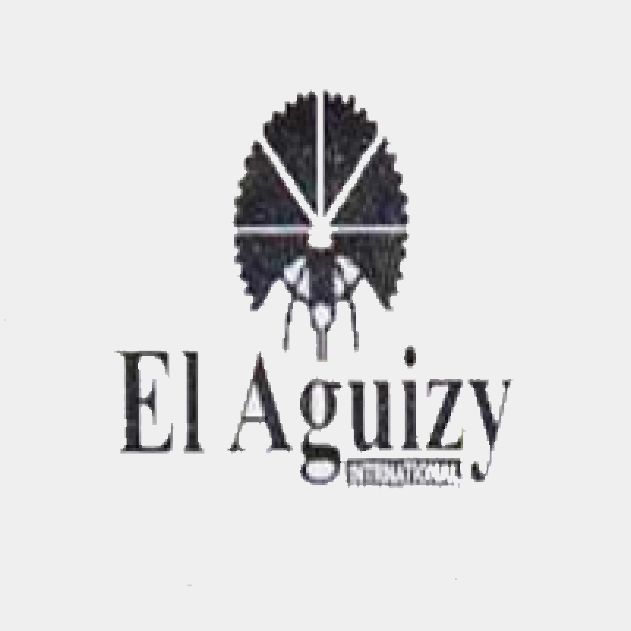 El-aguizy Group