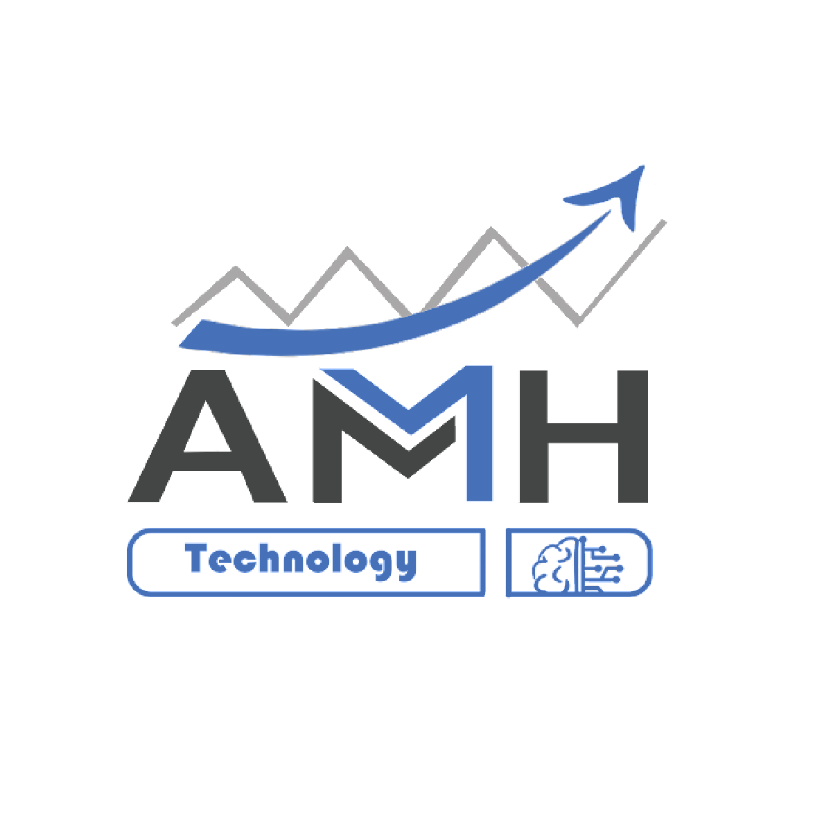 AMH Group