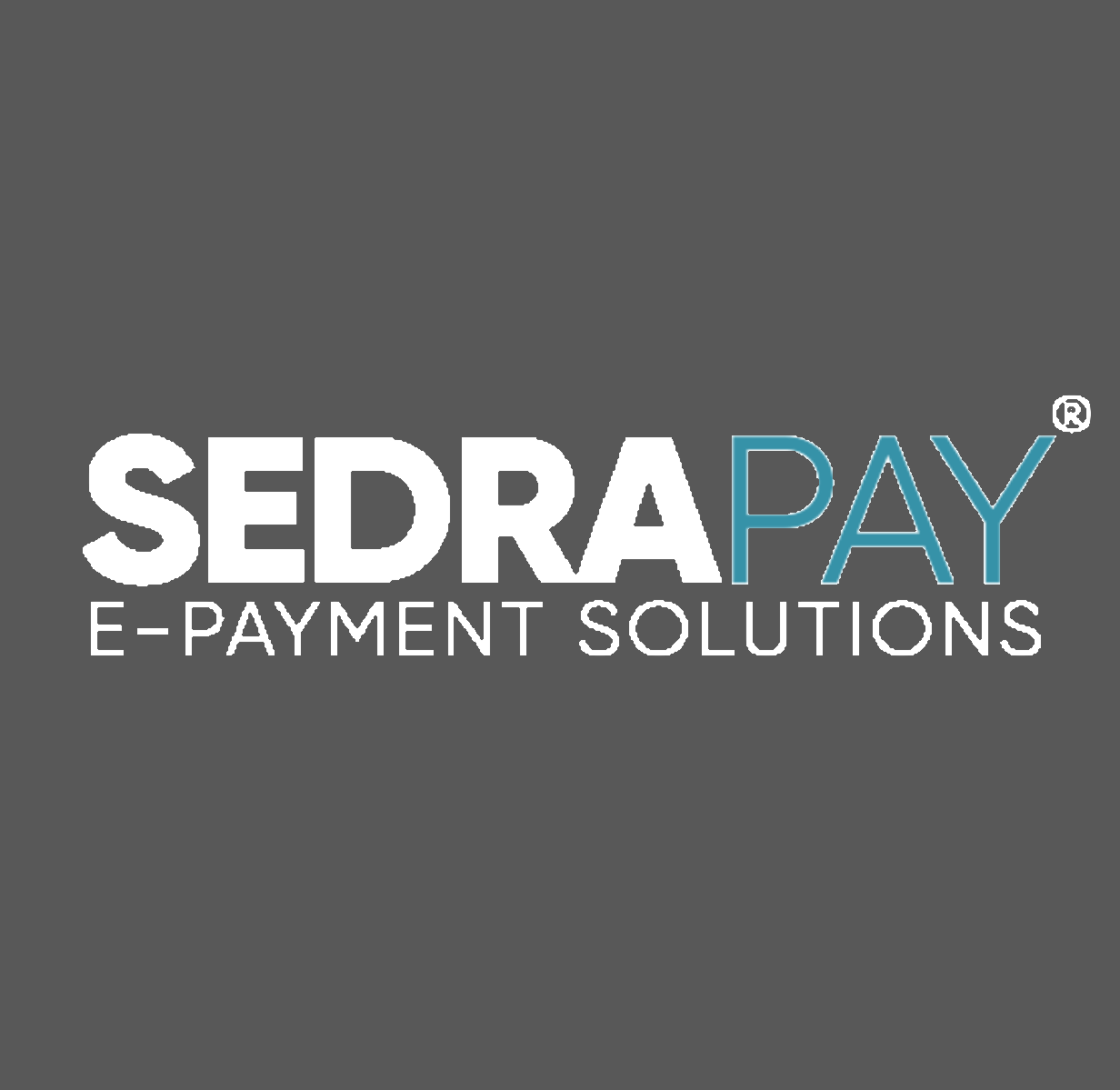 Sedra for E-payment solution company