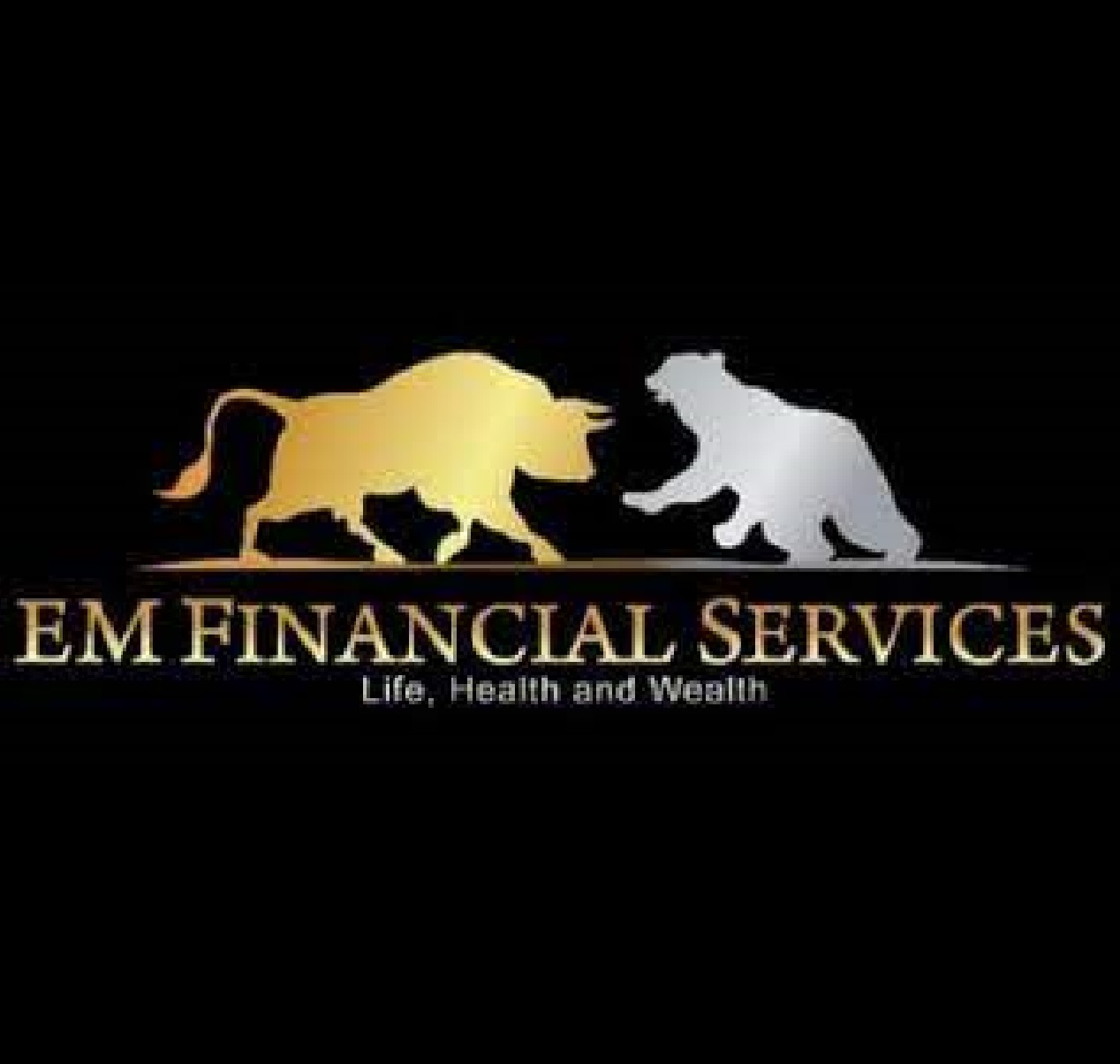 EM financial consulting