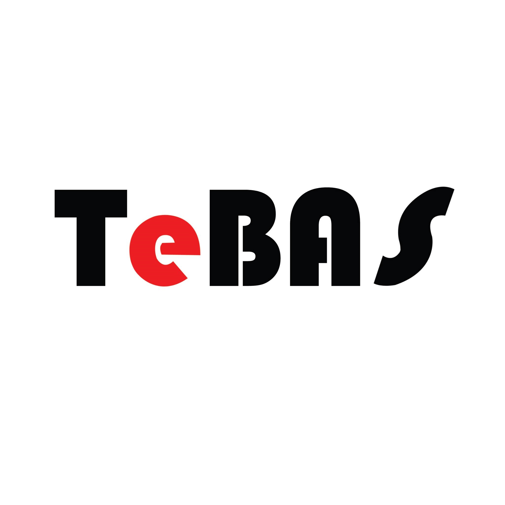 TeBAS Company
