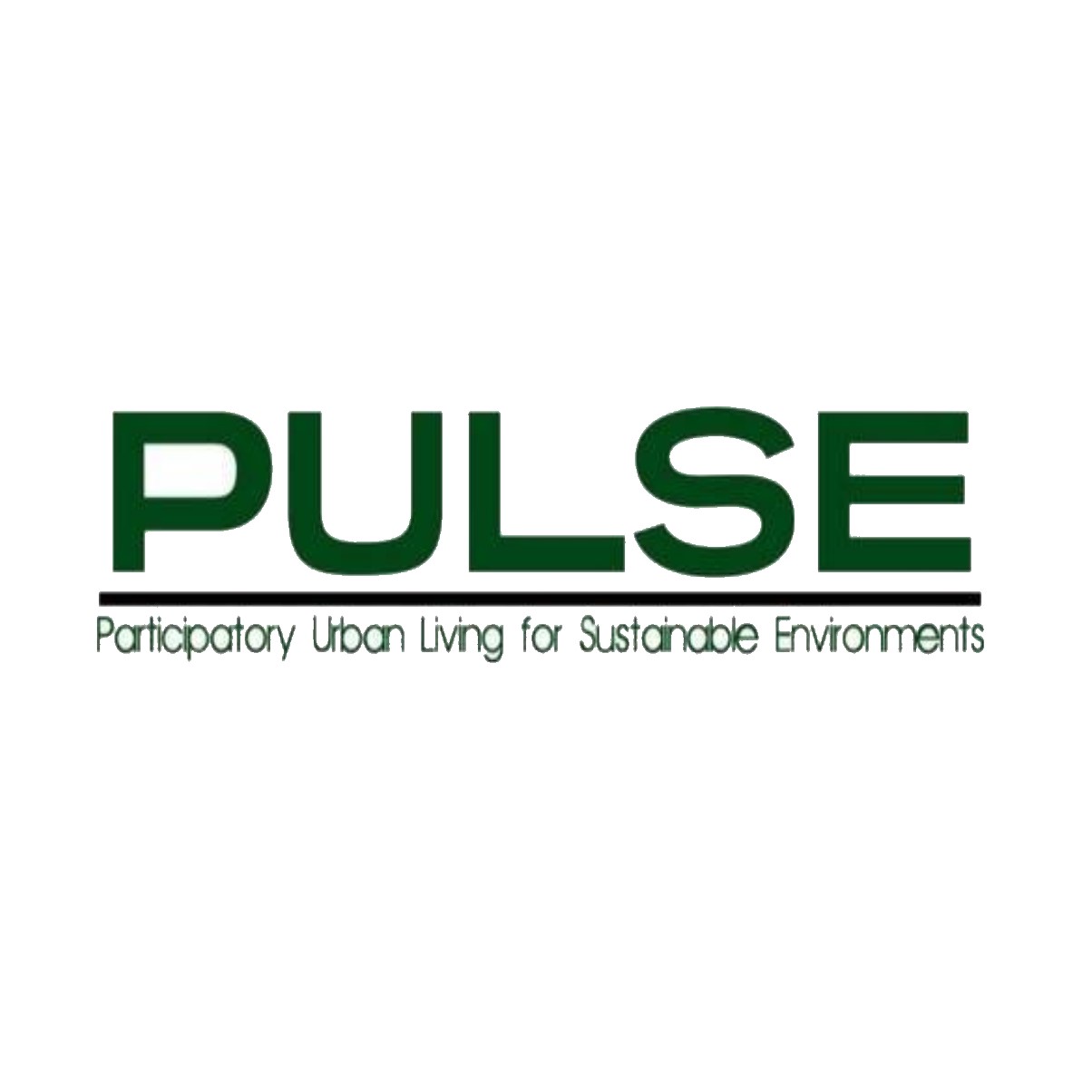 PULSE Project