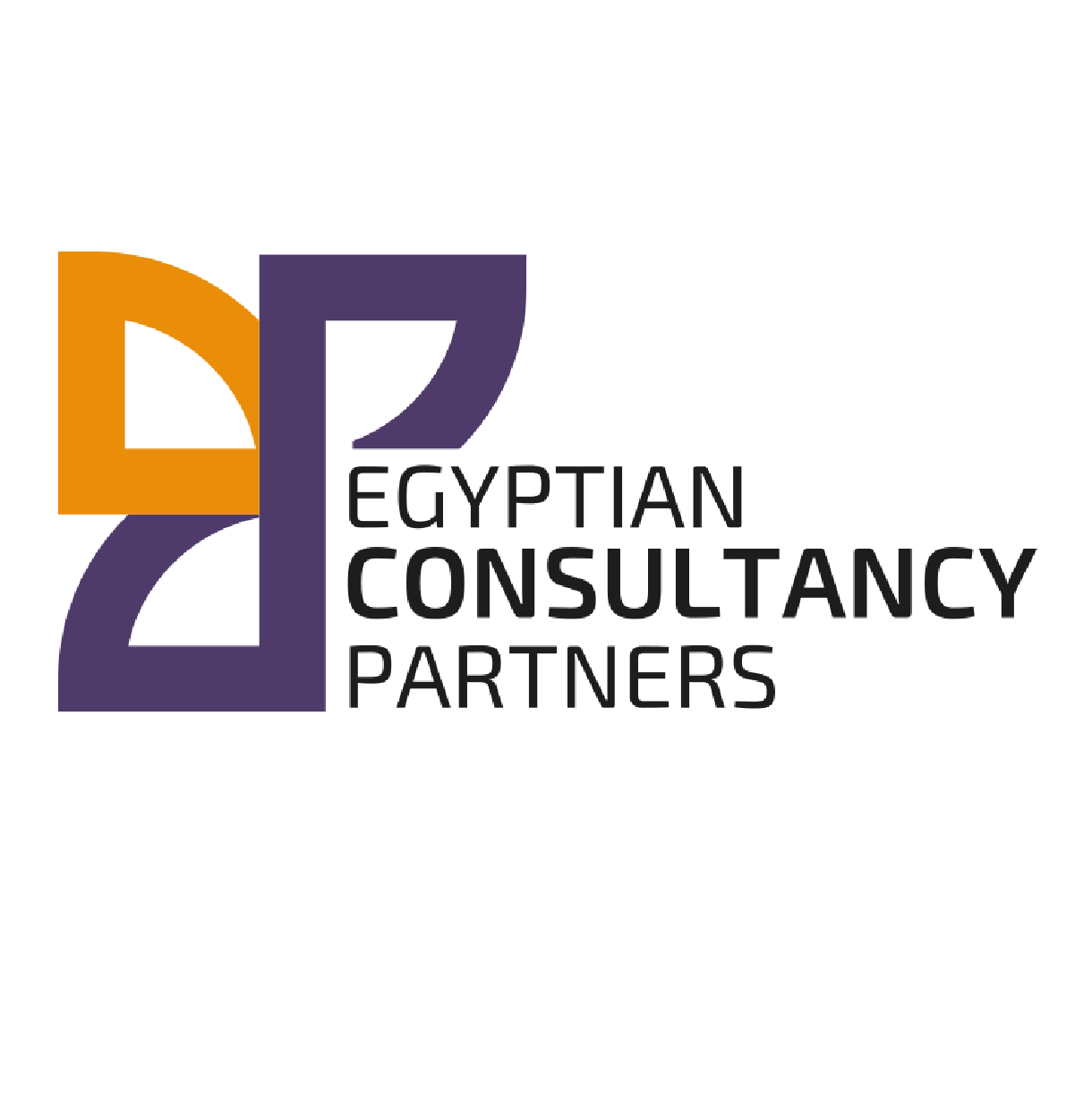 ECP Consultancy Partners