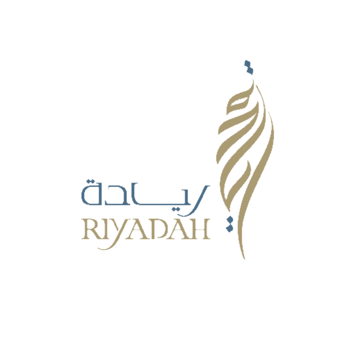 معهد ريادة الأعمال الوطني