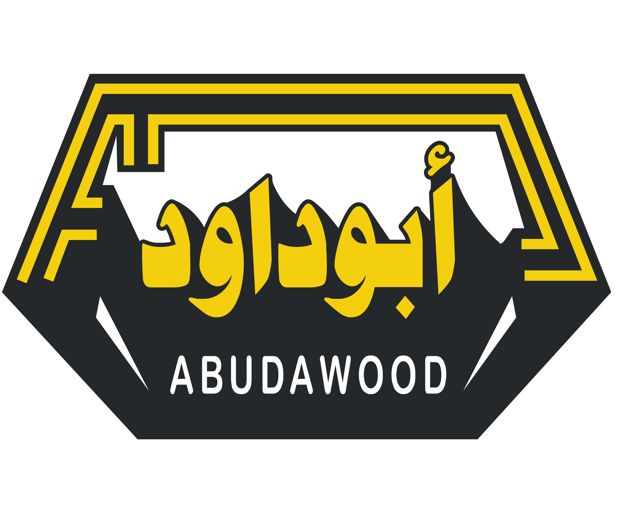 مجموعه شركات داود جروب