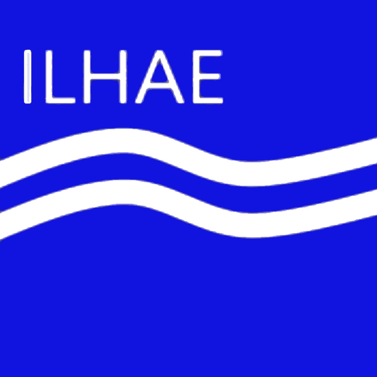 ILHAE ELECTRONICS EGYPT