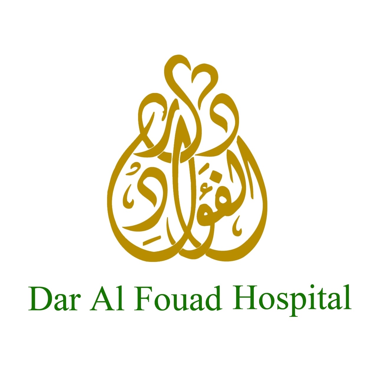 Dar AlFouad Hospital