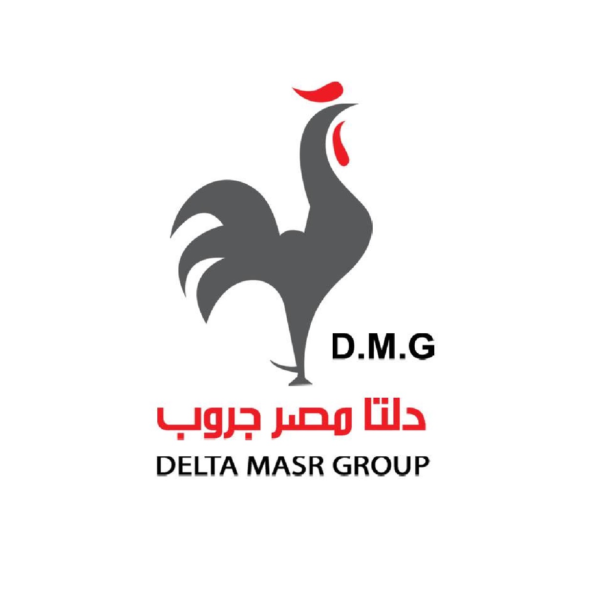 Delta Masr Group
