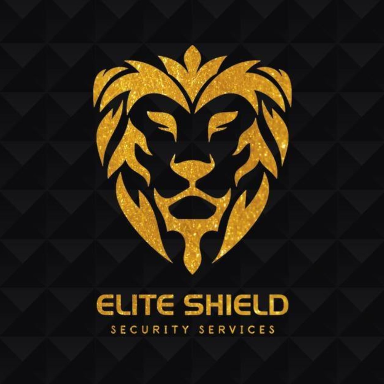 Elite shield security company