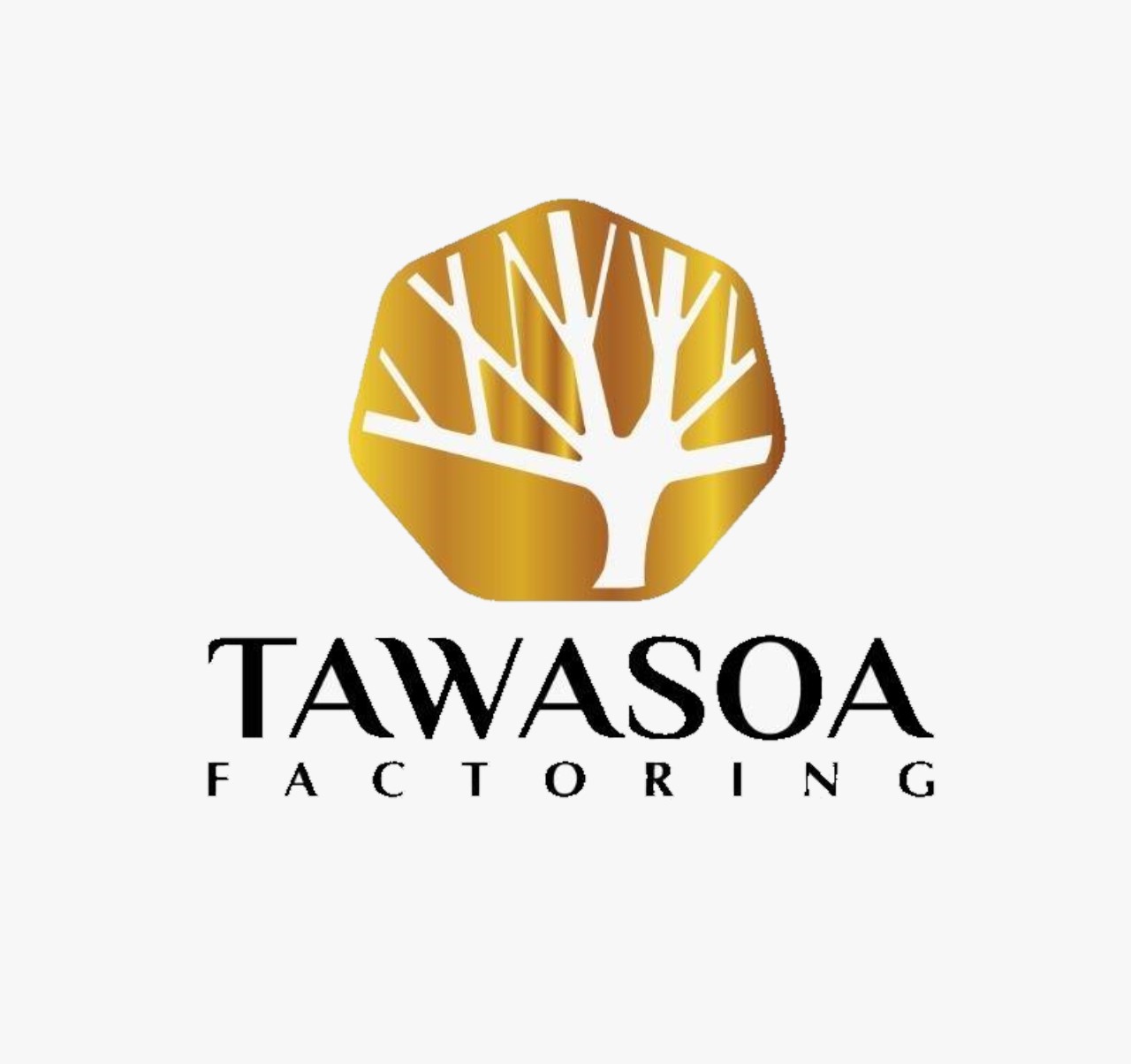Tawasoa Factoring