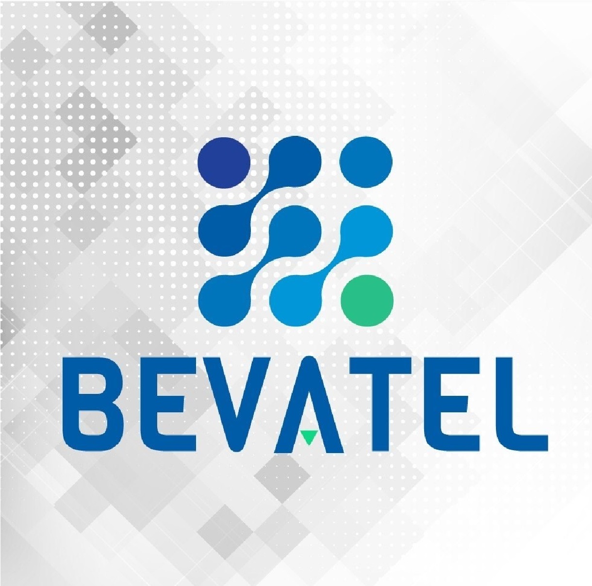 MICIT Company-Bevatel Project