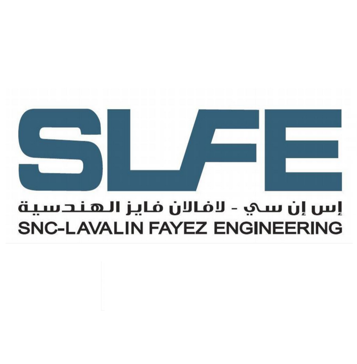 SLFE