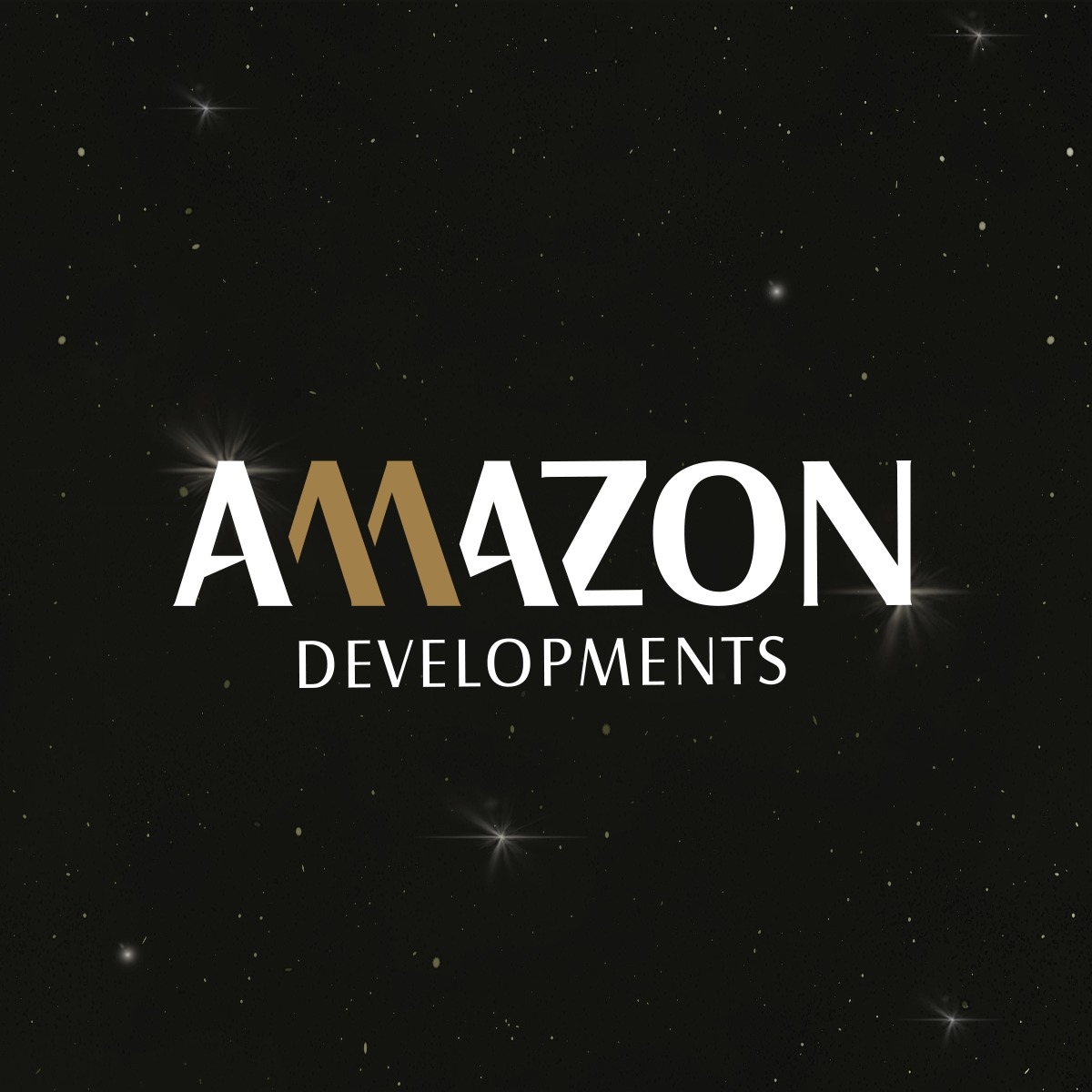Amazon Developments Company