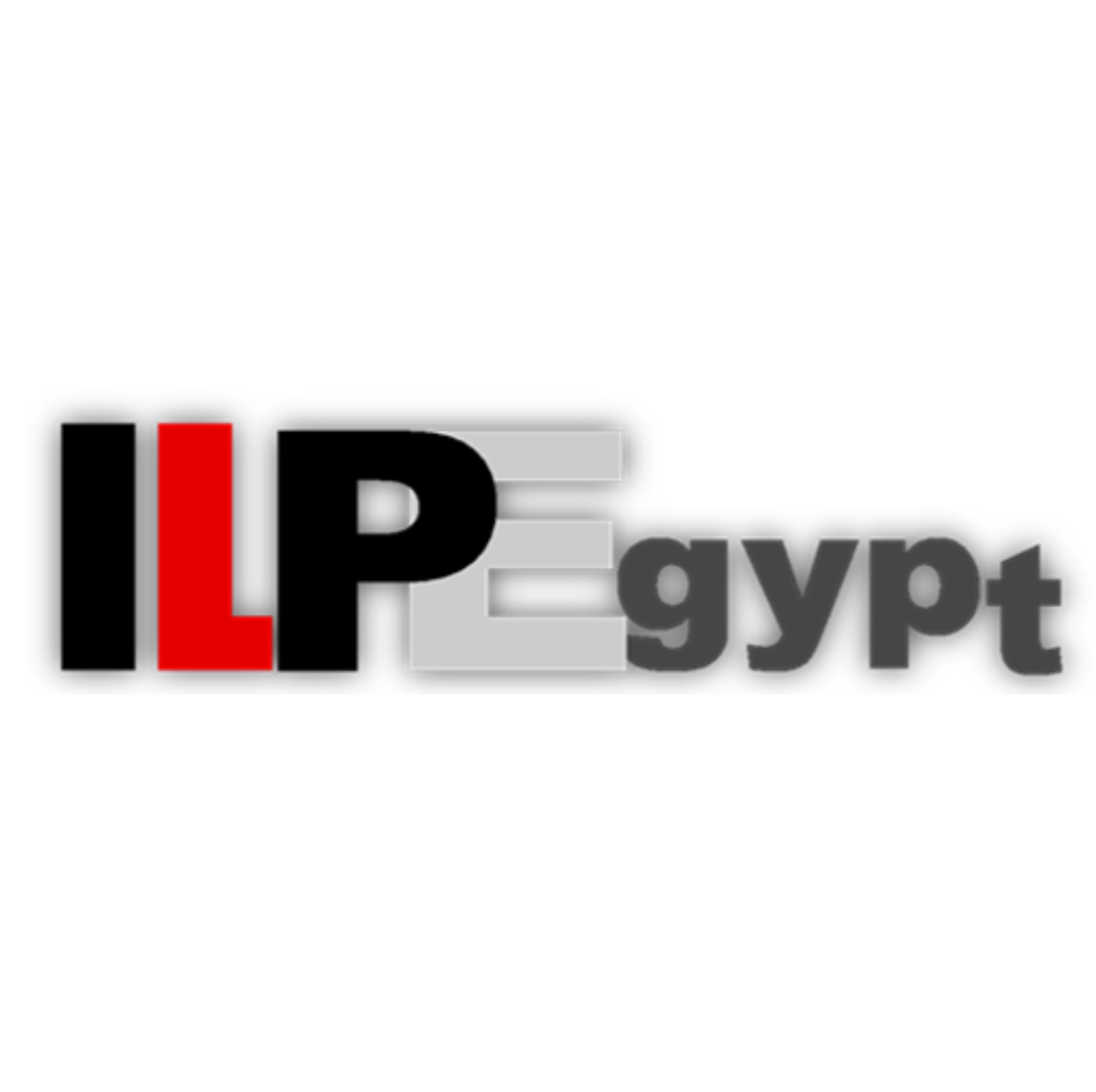 International Logistics Partners Egypt