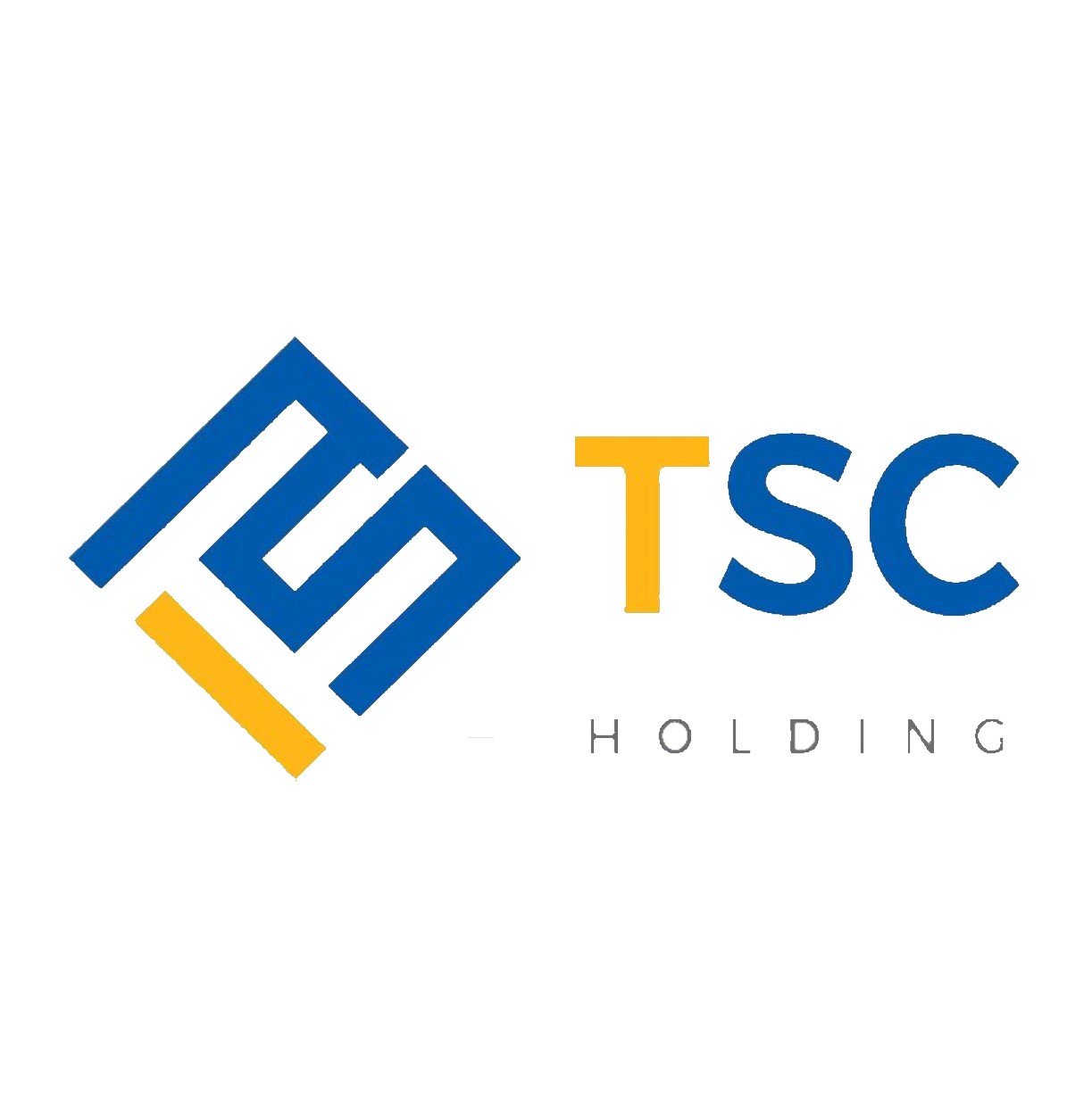 TSC Holding