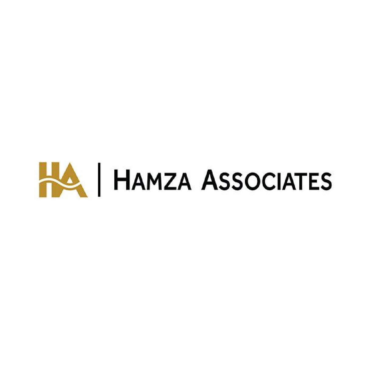 Hamza Associates