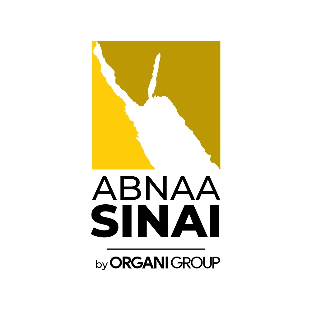 Abnaa Sinai Construction