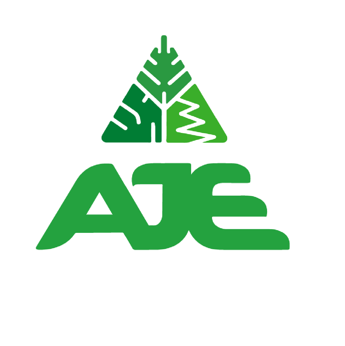 AJE Group Egypt