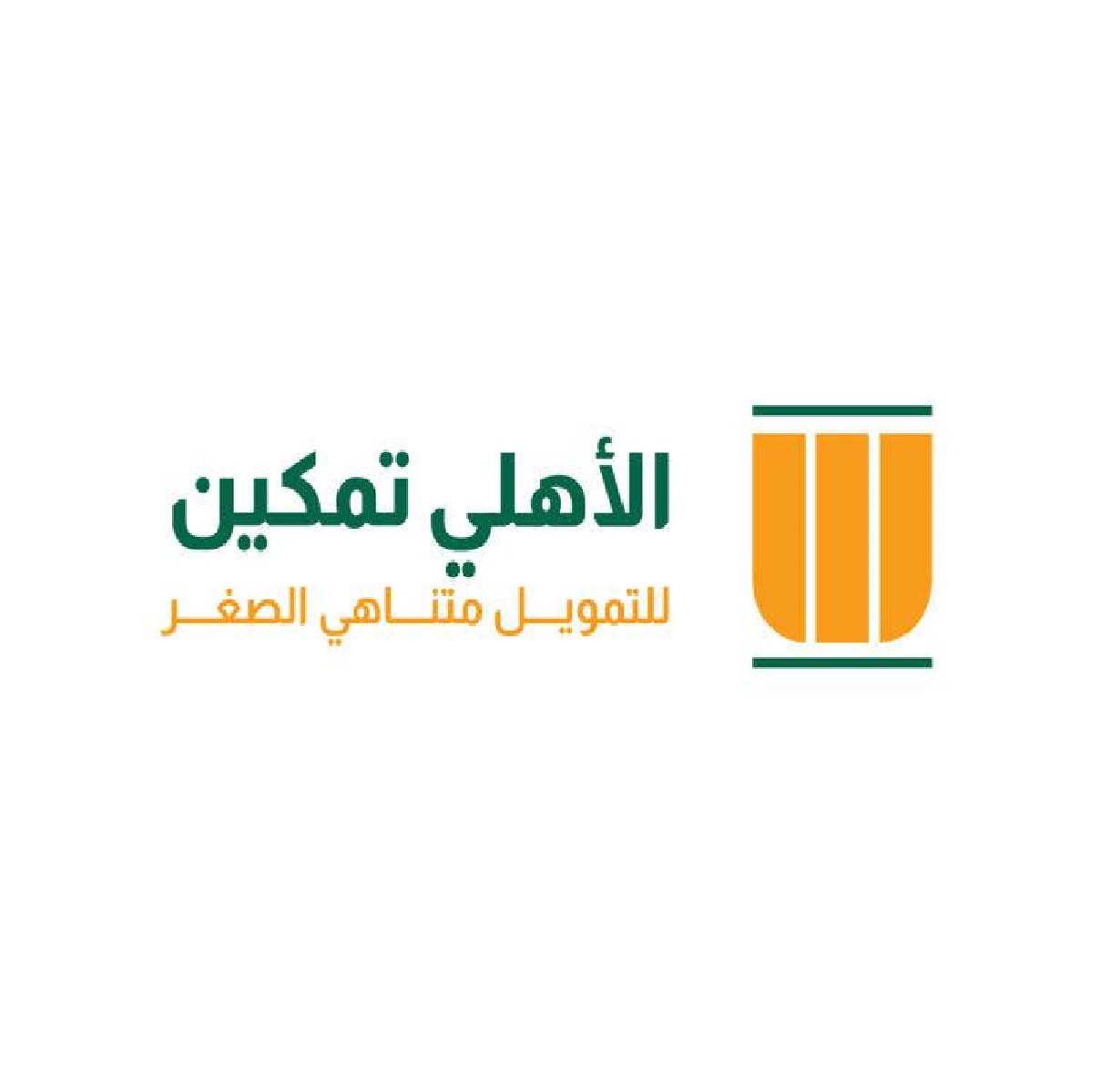 Al Ahly capital for micro finance - Tamkeen -