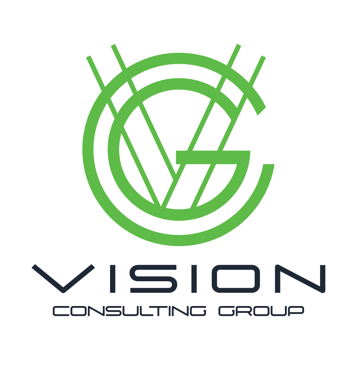 Vision Consulting Group