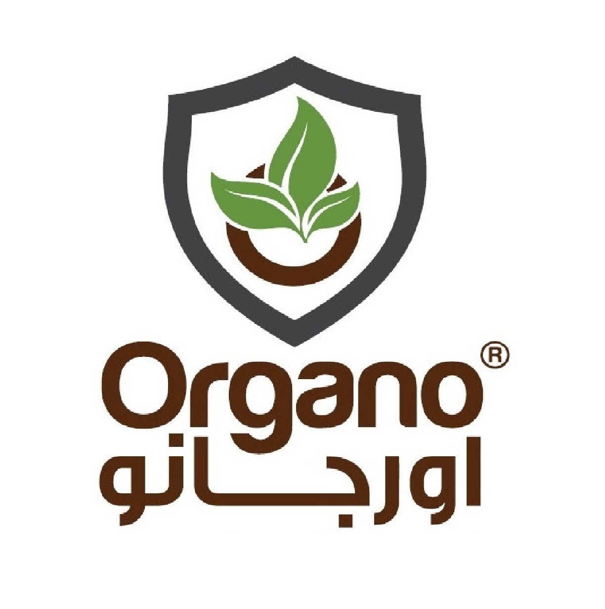 Organo Group Organo Group